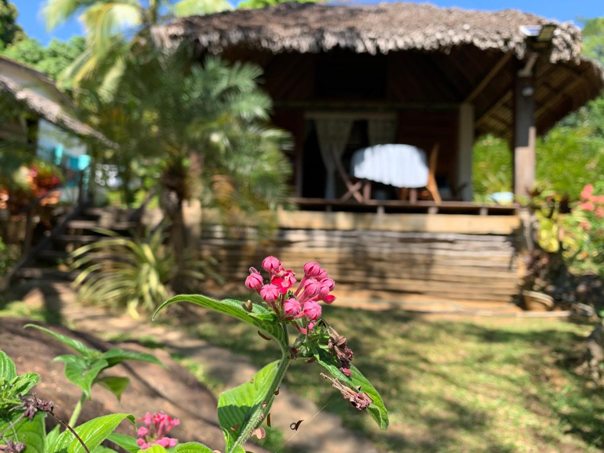 Les Jardins D'Ankify Bed and Breakfast Andimaka Buitenkant foto