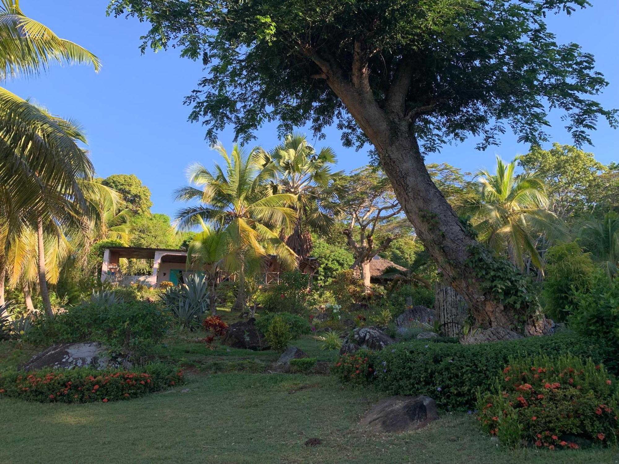 Les Jardins D'Ankify Bed and Breakfast Andimaka Buitenkant foto