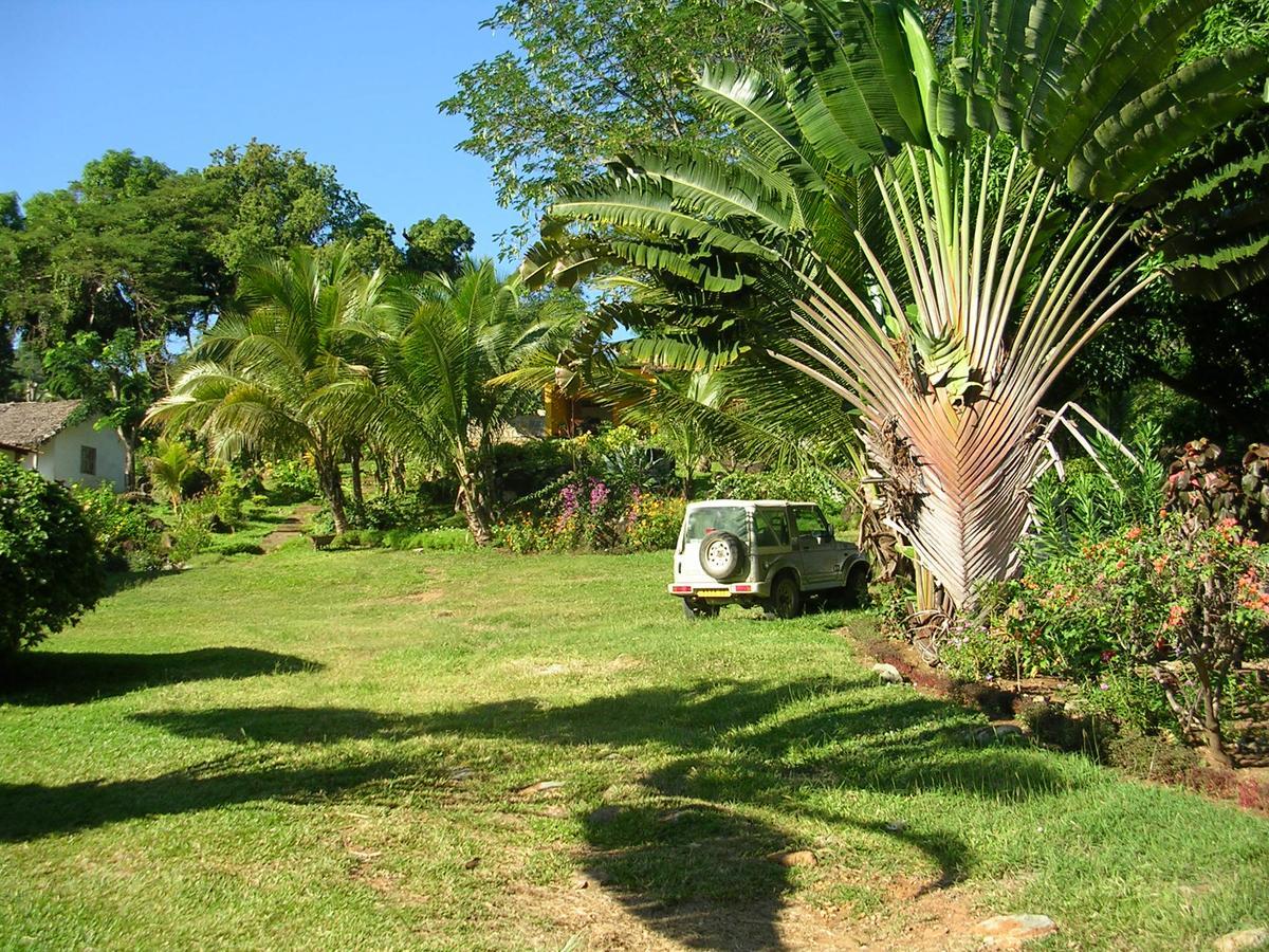 Les Jardins D'Ankify Bed and Breakfast Andimaka Buitenkant foto