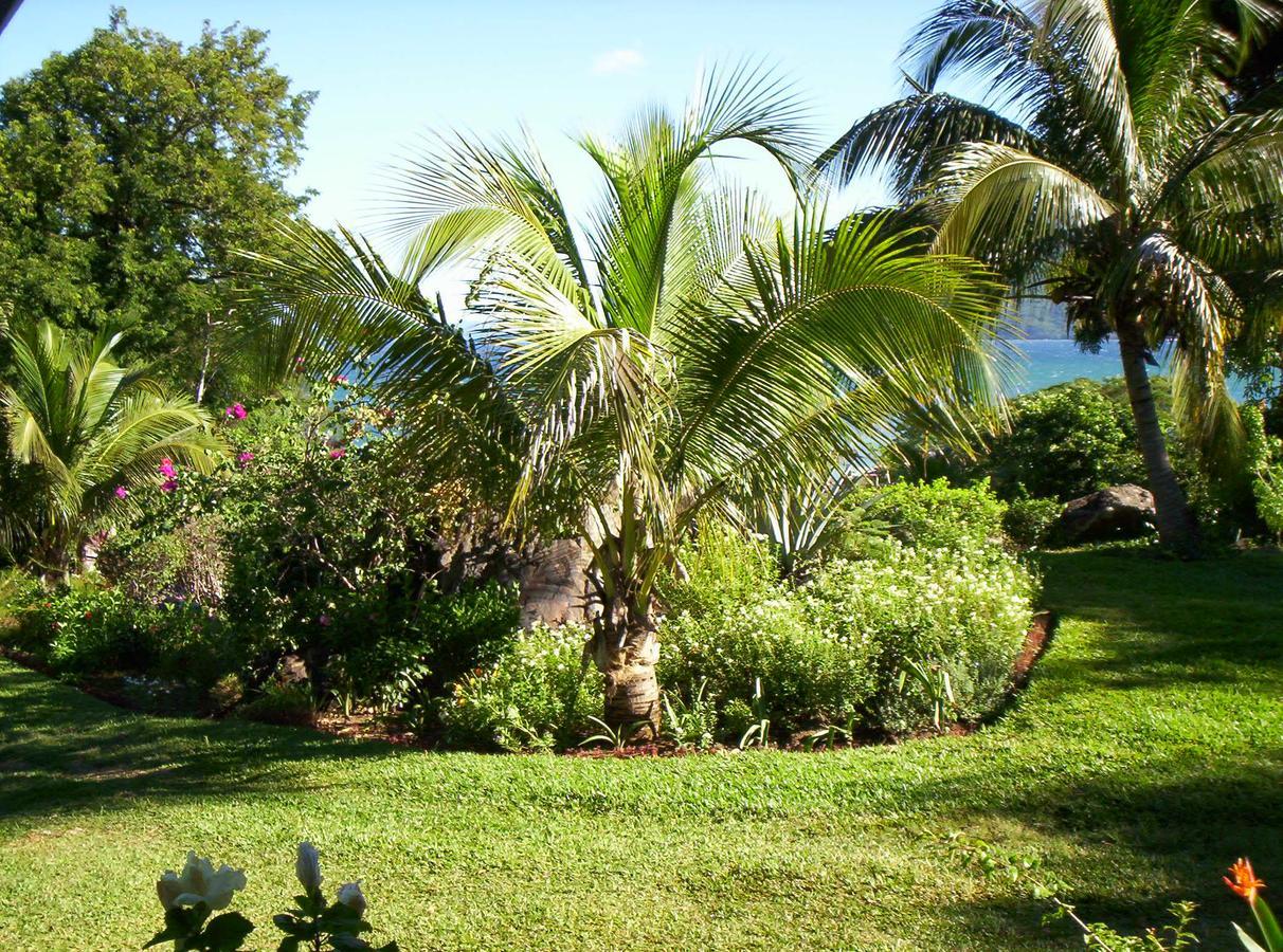 Les Jardins D'Ankify Bed and Breakfast Andimaka Buitenkant foto