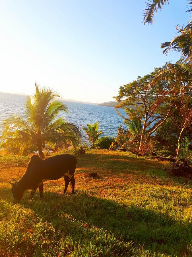 Les Jardins D'Ankify Bed and Breakfast Andimaka Buitenkant foto