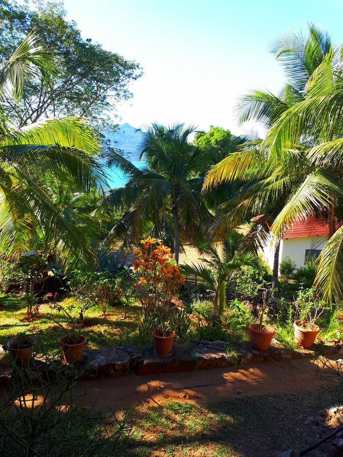 Les Jardins D'Ankify Bed and Breakfast Andimaka Buitenkant foto