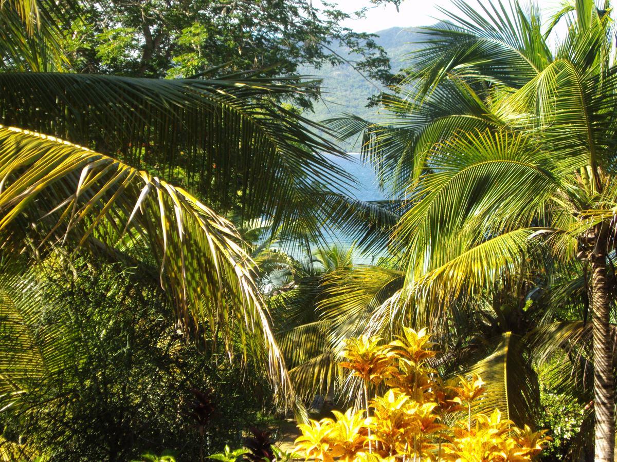 Les Jardins D'Ankify Bed and Breakfast Andimaka Buitenkant foto